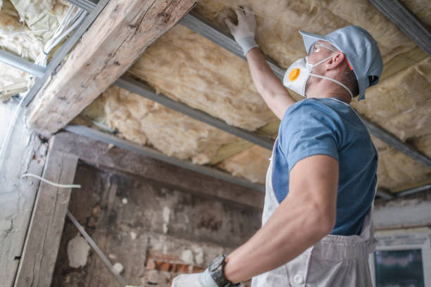 Best Blown-in Insulation in Rowlett, TX