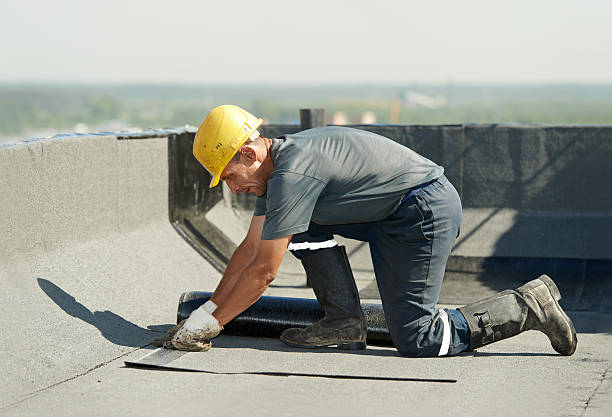 Best Specialized Insulation Services in Rowlett, TX