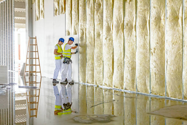Best Insulation Maintenance and Repair in Rowlett, TX